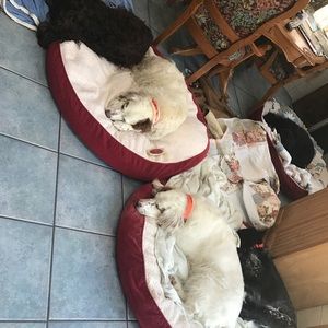 Meet your Posher, Patti